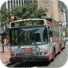 MUNI articulated buses